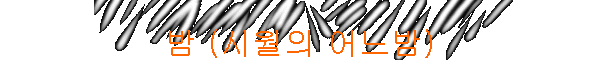  (ÿ )